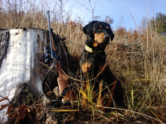 Cifra spod Mlynárova