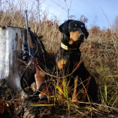 Cifra spod Mlynárova