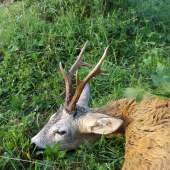 Spomienka na minulú sezónu