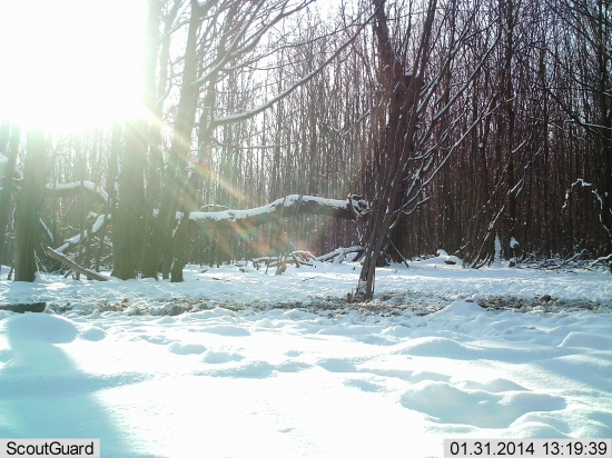 taka pohladnicova...