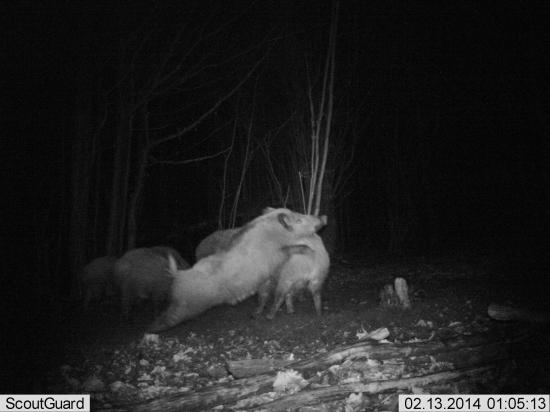 pockaj nech sa trochu natiahnem ...