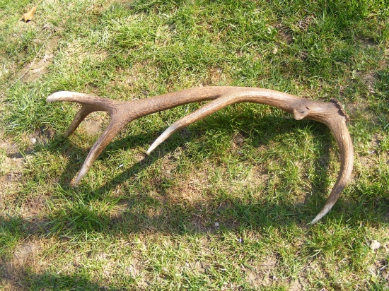 dnešná prechádzka