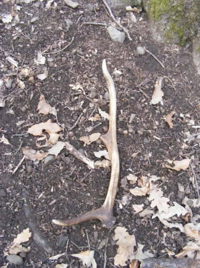 Menší ale poteší