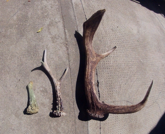 Škoda toho zlomeného