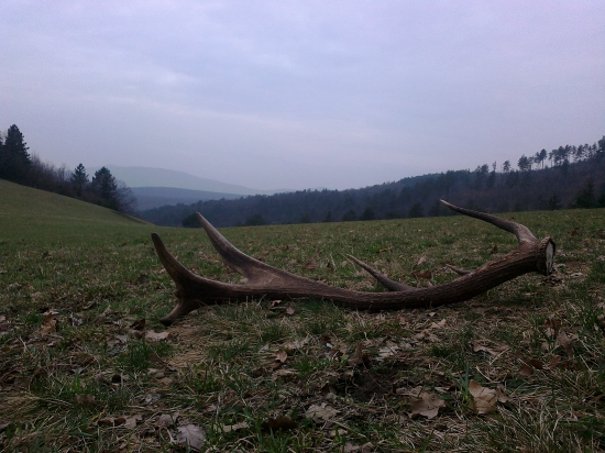 Štartovací 2016, 16torák