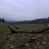 Štartovací 2016, 16torák