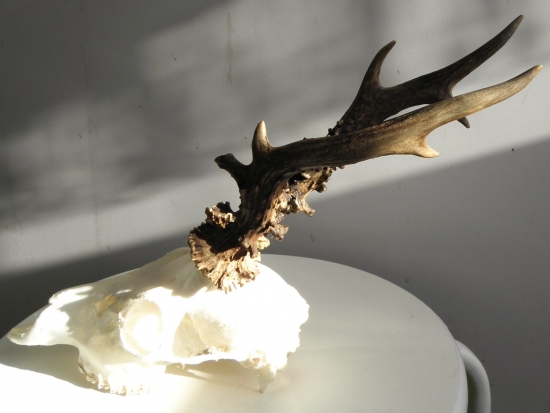 nerovný osmerák z nedělního rána