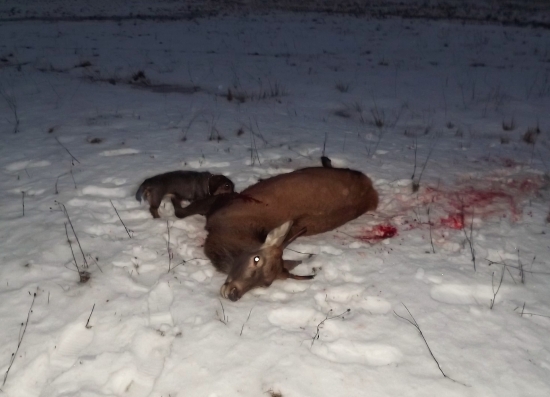 Pomoc u kamaráda při průběrném odstřelu