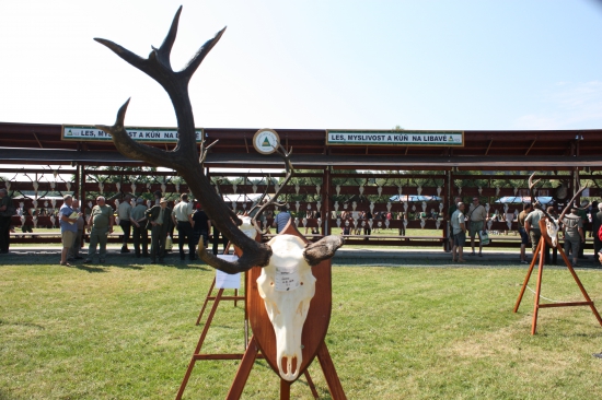 Libavá Heřmánky 2015