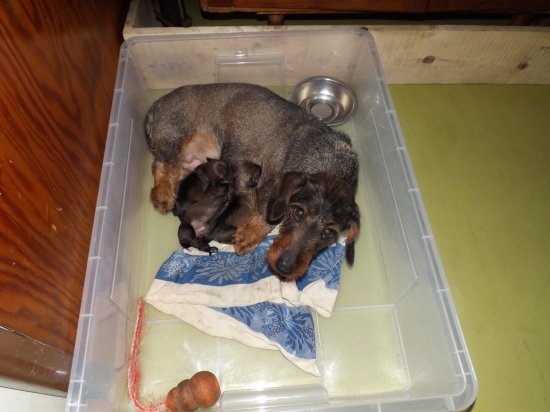 Tak už jsme na světě