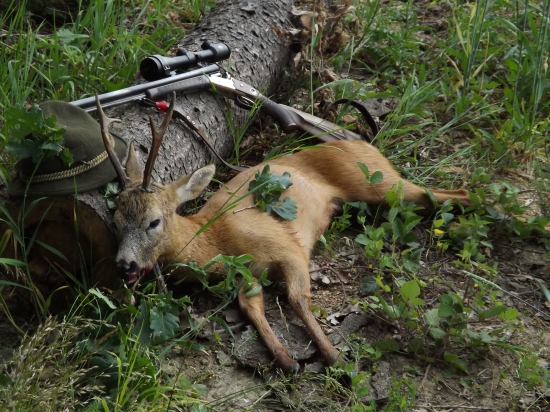 3 věkovka z dnešního rána