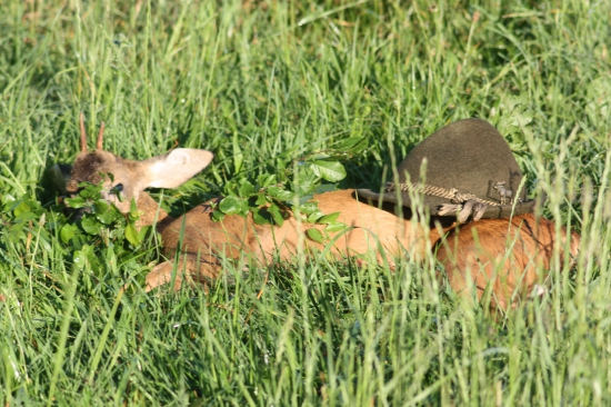 Jednička z dnešního rána.