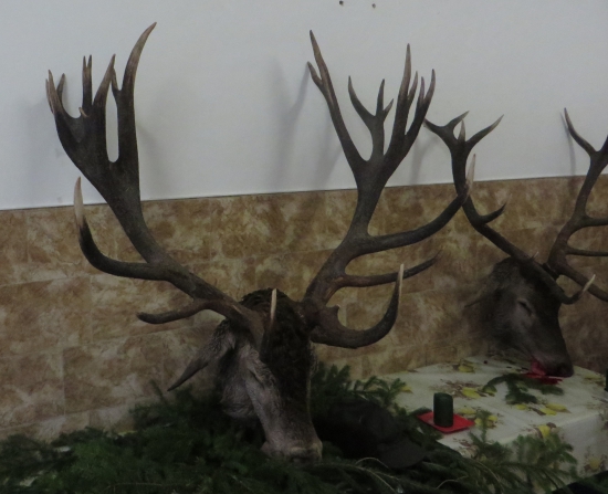 Kapitální z Libavy