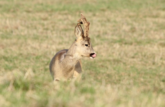 Začátek vytloukání