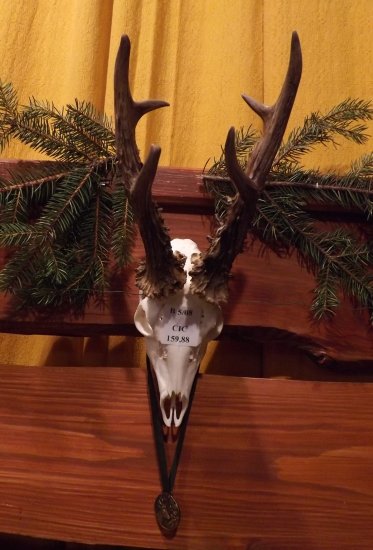 Nejsilnější srnčí trofej okresu Nový Jičín v roce 2016