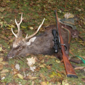 sika