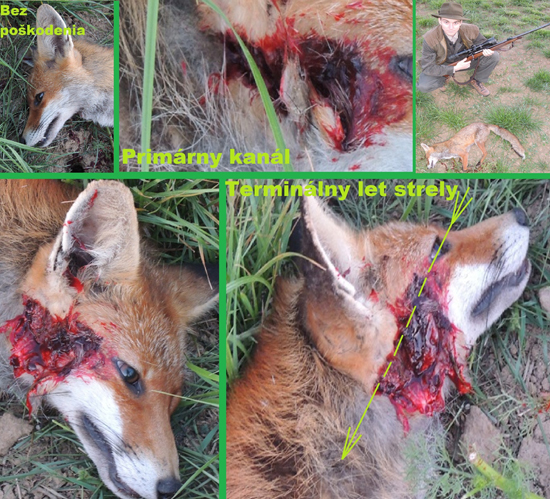 S&B spce 11,7g - 308w