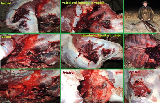  S&B 11,7 g SPCE 308w