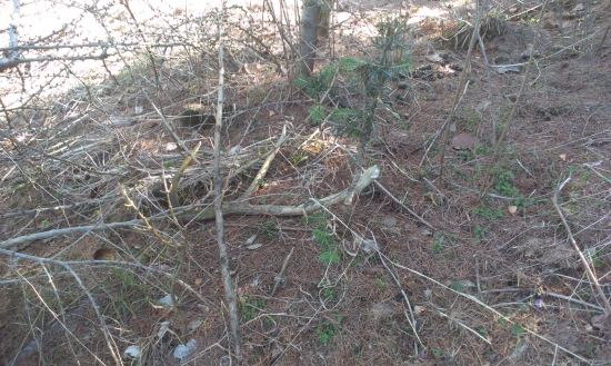 Ďalší do zbierky...