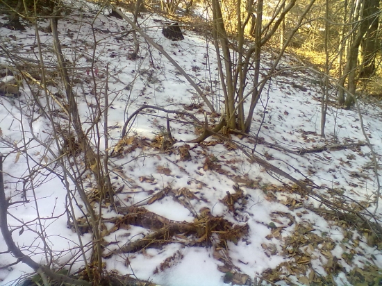 Opäť jeden z archívu