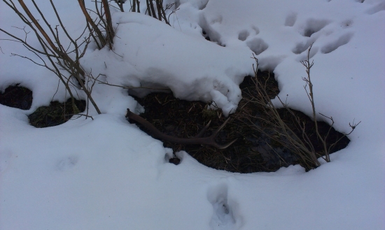 Skoro som spadol z nôh