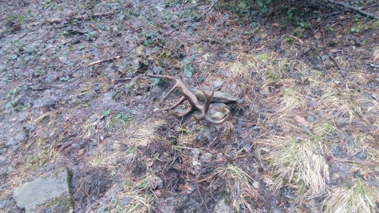 18torak skoro som odpadol :-)