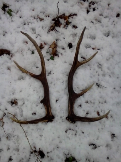 O 30 sekund zase spolu