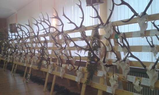 Chovatelská prehliadka