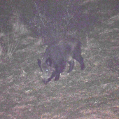 Na Splna  Je ho vidno??