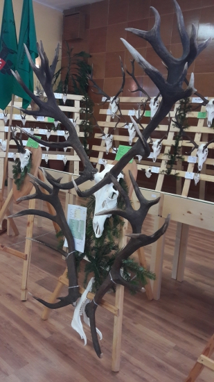 Najsilnejši z vystavy 22-torák