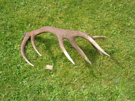 najlepší zo zbierky