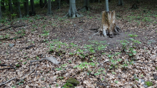 Sezona 2016 zahajena