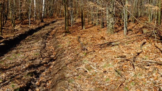 Dá sa ešte vzornejšie zhodiť?