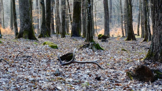 Tak si tam nenápadne ležal v tichu