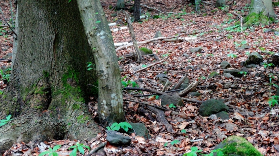 stop! neznámy objekt