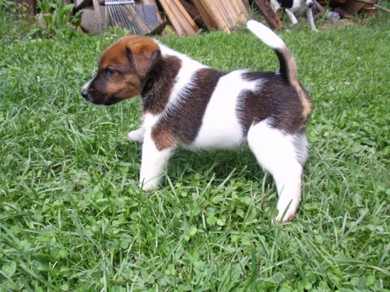 onedlho nový prírastok do rodiny :))