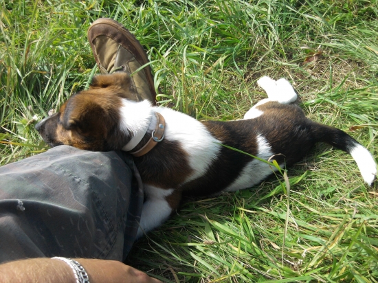 prestávka počas dnešnej prechadzky :))