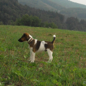 moj krasavec :))