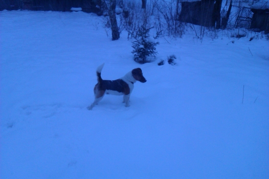 mááme 7 mesiacov :))