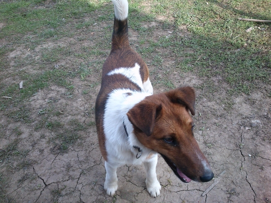 momentka z prechádzky :))