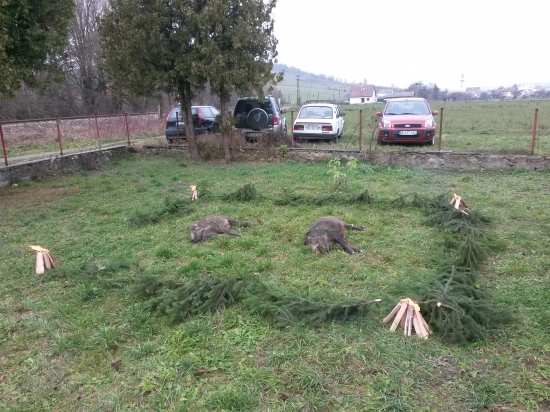 Sobotňajšia spoločná poľovačka