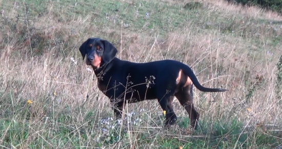 Moja šikovníčka Cora.