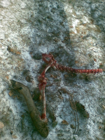 Moc toho nezostalo.