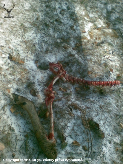 Moc toho nezostalo.