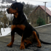 Máme 9 mesiacov