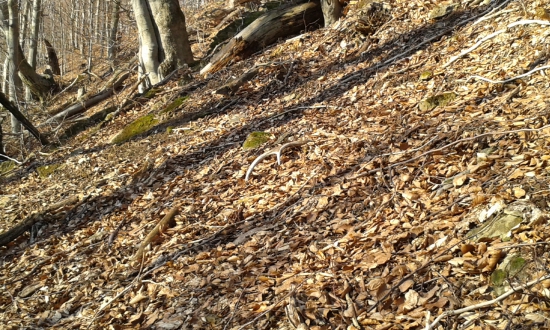 Keď niečo nepasuje