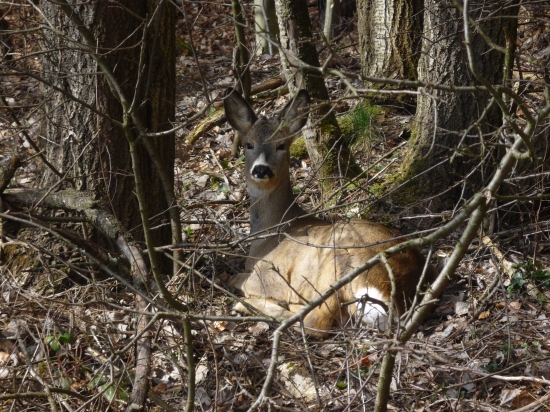 ranný odpočinok :)