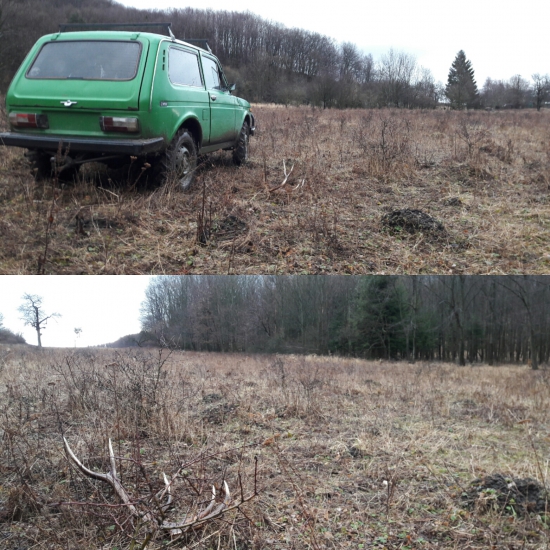 Vcerajsi nahodny pocestny