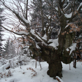 Jeden z čergovských pamätníkov