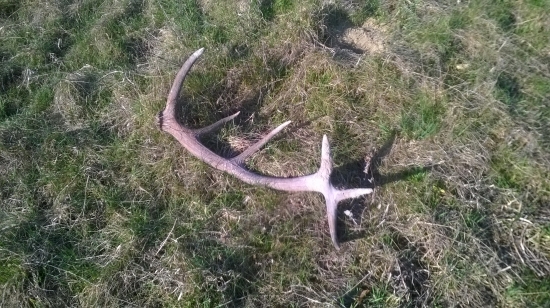 Moj prvy v zivote a ešte sa z neho dymilo